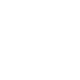 Coding Services